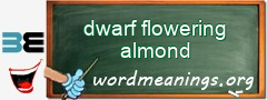 WordMeaning blackboard for dwarf flowering almond